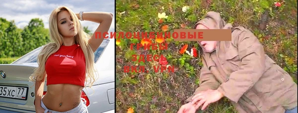молекула духа Володарск