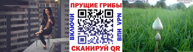 Псилоцибиновые грибы ЛСД  Люберцы 